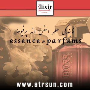 نمایندگی-عطر-اسنس-اند-پرفیومز-essence-&-parfums